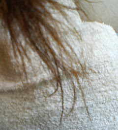 ビビリ毛となった髪の毛先の画像